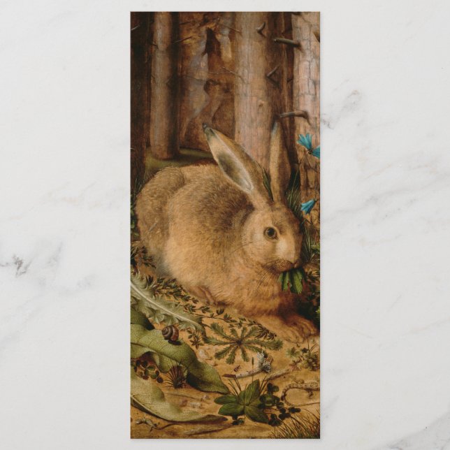 Hans Hoffmann A hare i skogen (Framsida)