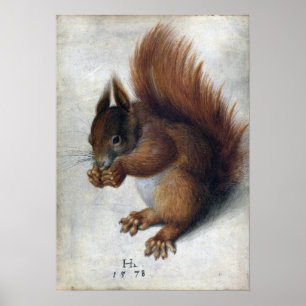 Hans Hoffmann röd ekorre Poster