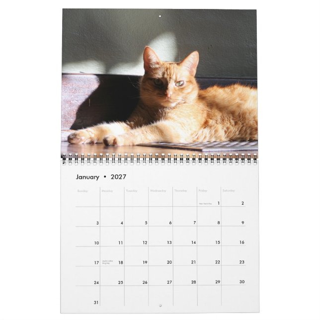 Hans majestät kalendern för katt 2012 kalender (Jan 2027)