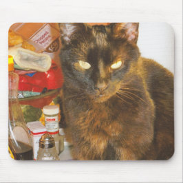 Hans majestät Sammy Musmatta