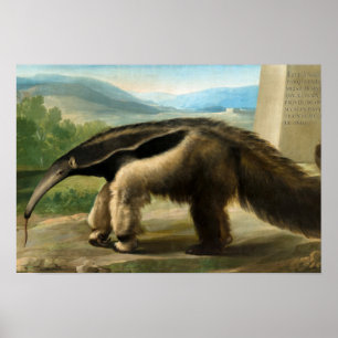 Hans Majestäts Giant Anteater av Anton R. Mengs Poster