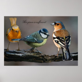 Hans nåd räcker. poster