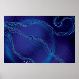 Hans noodly Appendors Poster