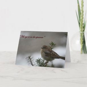 "Hans öga är i sparven" Kort
