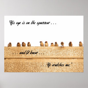 Hans Öga är på Sparrow. . . Poster