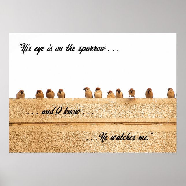 Hans Öga är på Sparrow. . . Poster (Framsidan)