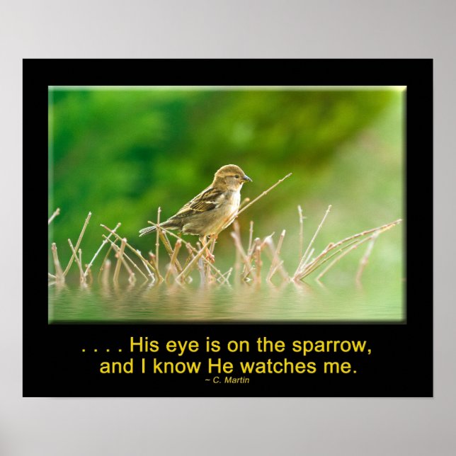 Hans Öga är på Sparrow-POSTER Poster (Framsidan)