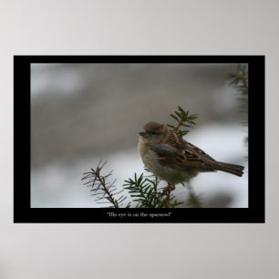 "Hans öga är på Sparrow! poster! Poster