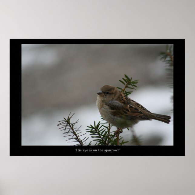"Hans öga är på Sparrow! poster! Poster (Framsidan)