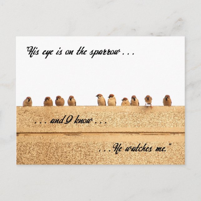 Hans Öga är på Sparrow. . . Vykort (Framsida)