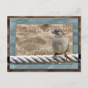 Hans Öga är på Sparrow Vykort