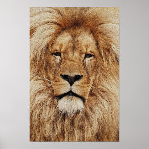 Hans Royal Highness Print Poster