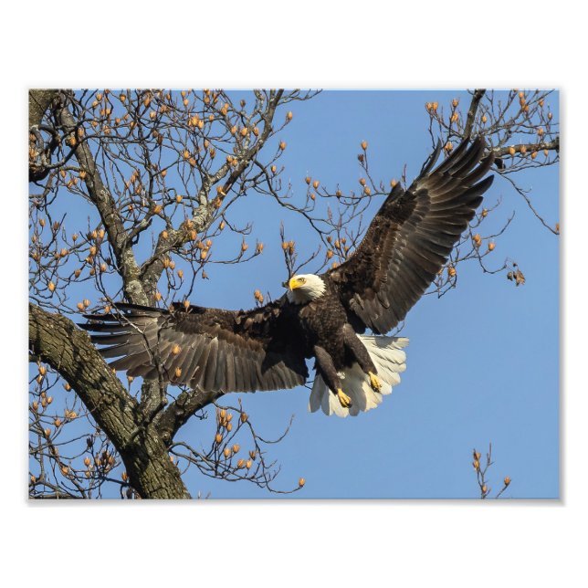 Hans stora entrance fototryck (Framsidan)