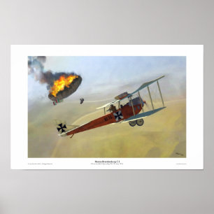 Hansa-Brandenburg C.I Poster