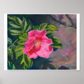 Hansa Shore Ro Poster