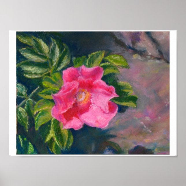 Hansa Shore Ro Poster (Framsidan)