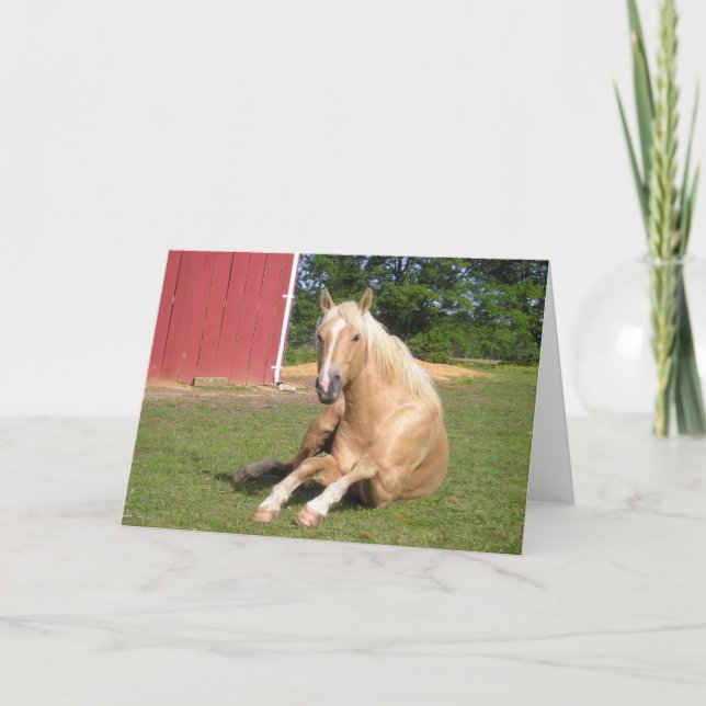 Hansome Palomino Horse Card Tack Kort (Framsida)