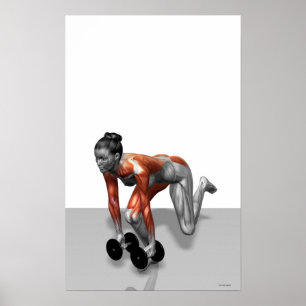 Hantelsingeln lägger benen på ryggen Deadlift 2 Poster