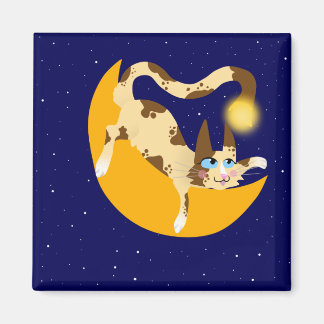 HANTERING PÅ MÅNE MAGNET