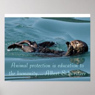 Hänvisning till sjöutter med citat av Berömd poste Poster