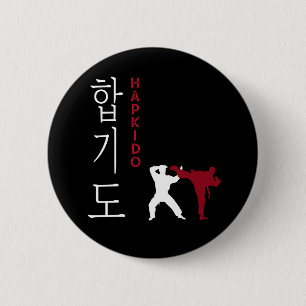 Hapkido Koreanska martialkonst Knapp