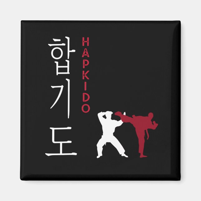 Hapkido Koreanska martialkonst Magnet (Framsidan)