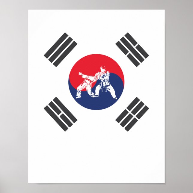 Hapkido Südkorea Flagge Kampfkunst Korea Poster (Framsidan)