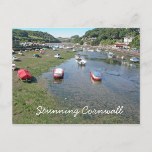 häpnadsväckande Cornwall vykort