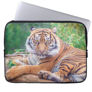 Häpnadsväckande Foto på Liggande Tiger Laptop Fodral