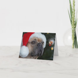 Happ-Bee-Helgdagar. Kort