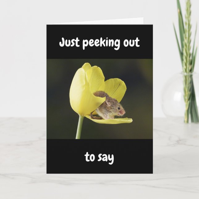 HAPPIEST OF "ALL" BIRTHDAYS WISHED TO "YOU" KORT (Framsida)