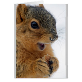 Happiest Squirrel någonsin Hälsningskort