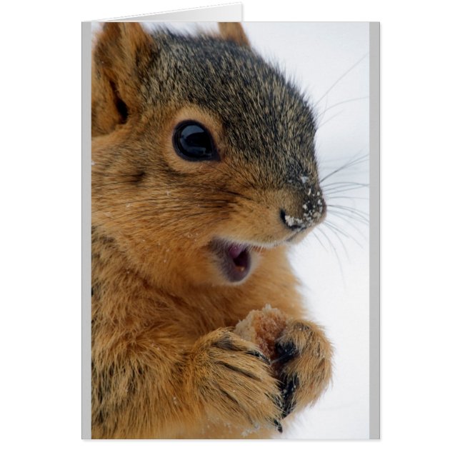 Happiest Squirrel någonsin Hälsningskort (Framsidan)