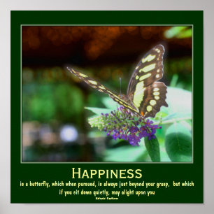 Happity Butterfly Motivational Quote Poster