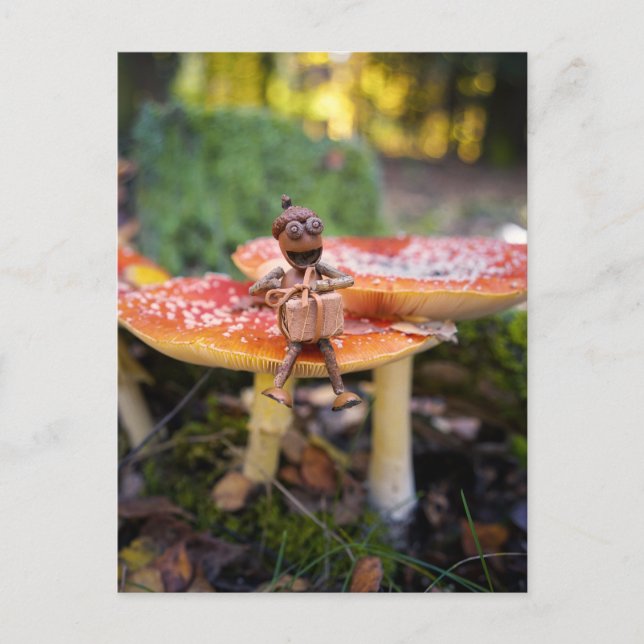 Happy Acorn Elf Birthday Greeting Card Vykort (Framsida)