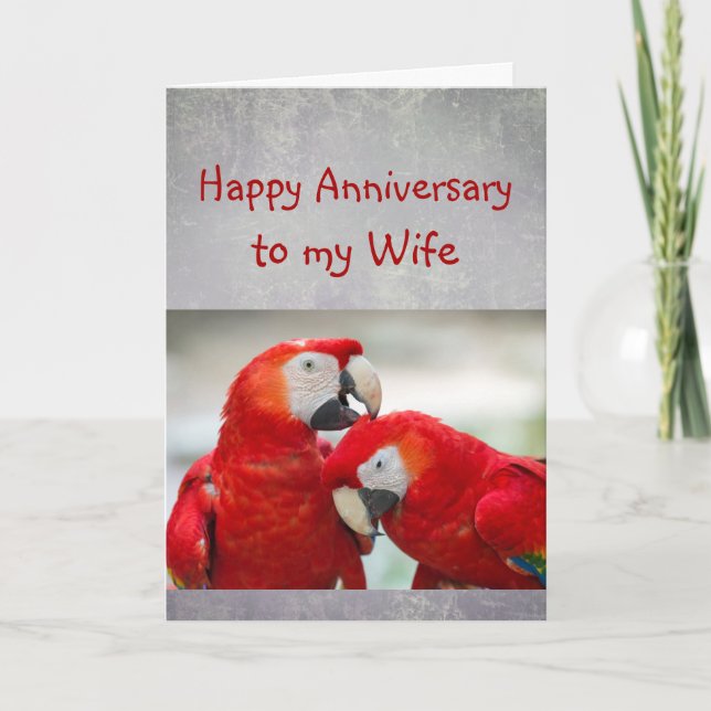Happy Anniversary Sweetheart Parrot Wife Love  Kort (Framsida)