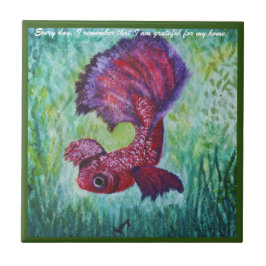 Happy betta fish enjoying his home kakelplatta