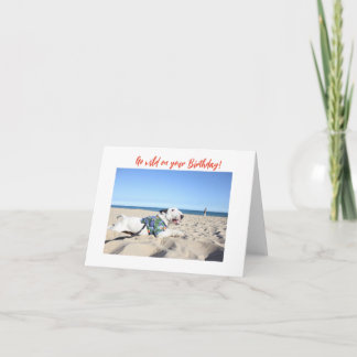 Happy Birthday! Beach Bull Terrier Hawaii Kort