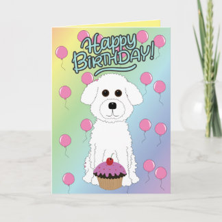 Happy Birthday Bichon Frise  Kort