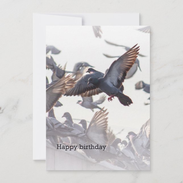 Happy Birthday Card for Pigeons (Baksida)