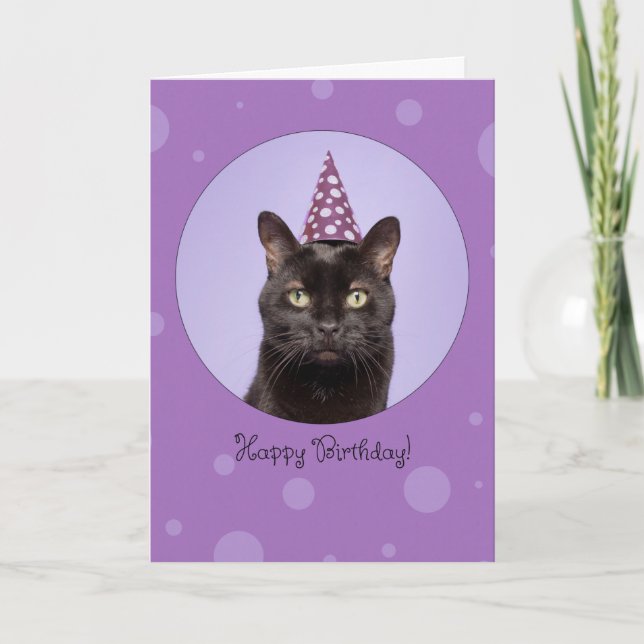 Happy Birthday For Anyone Funny Cat in Party Hat Helgkort (Framsida)
