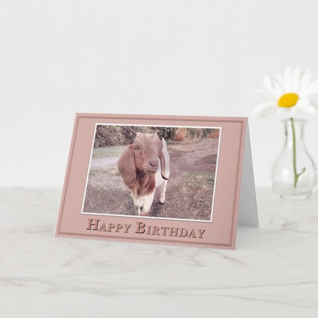 Happy Birthday - From your Favorite Kid Kort (Liten växt)