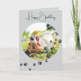 Happy Birthday from Your Furry Friend 2 Photos   Kort
