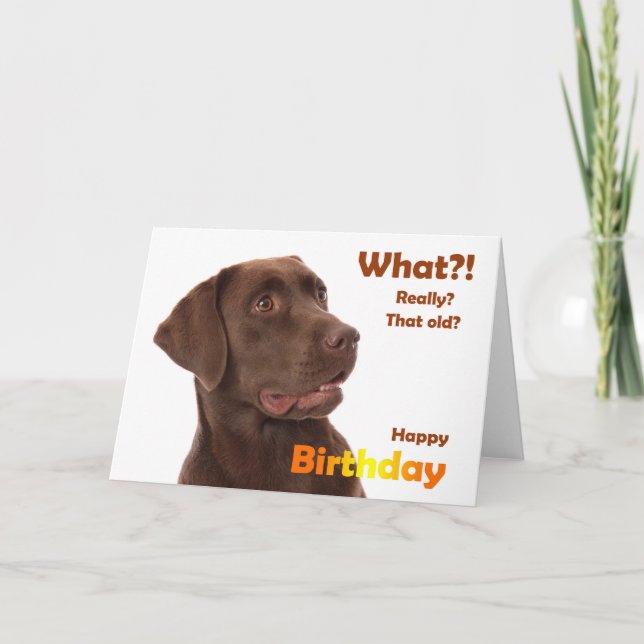 Happy Birthday fun card with Labrador dog Kort (Framsida)