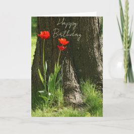 Happy Birthday Grußkarte mit roten Tulpen Kort
