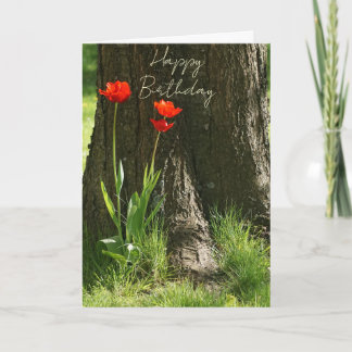 Happy Birthday Grußkarte mit roten Tulpen Kort