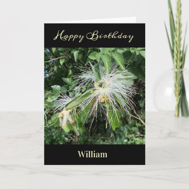 Happy Birthday Men Dad Nature Photo Personalize   Kort (Framsida)