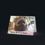 Happy Birthday Sister I NOSE it's your Cute Dog Kort<br><div class="desc">Happy Birthday I nose it's your birthday,  Cute Dog Sister will appreciate this card</div>