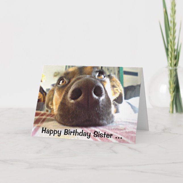 Happy Birthday Sister I NOSE it's your Cute Dog Kort (Framsida)