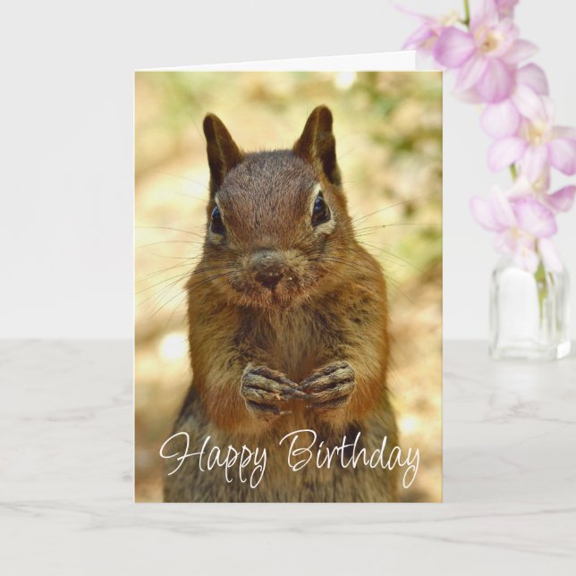 Happy Birthday Squirrel Looking for Cake Kort (Orkide)